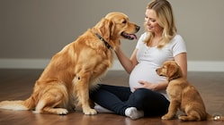 This rare yet alarming case is a stark reminder that simple precautions with pets can go a long way in protecting one’s health. (AI Generated)