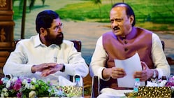 Political observers believe that while the Mahayuti presents a united front on paper, internal equations are far from smooth. (PTI)