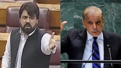 Pakistan PM Shehbaz Sharif slammed by Pak MP