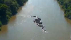 AI Or Real? Video Shows Giant Anaconda Slithering Through Stream In Amazon