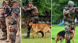 Selected candidates will be granted the rank of Captain and undergo training at the RVC Centre and College, Meerut Cantt. (News18)